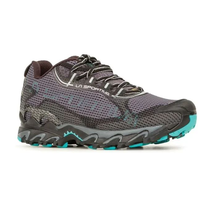 Wildcat 2.0 GTX Womens (2023)