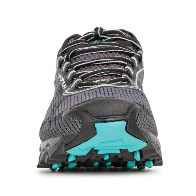 Wildcat 2.0 GTX Womens (2023)